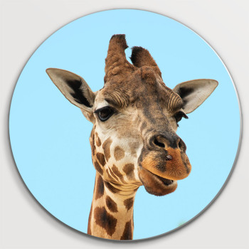 Giraf (5070.1051)