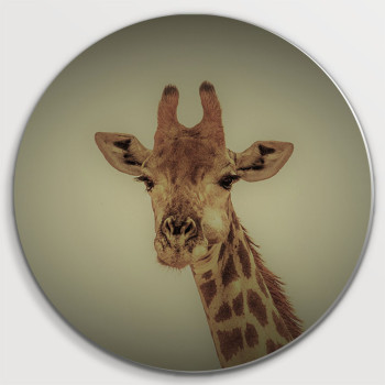 Giraffe (5070.1073)