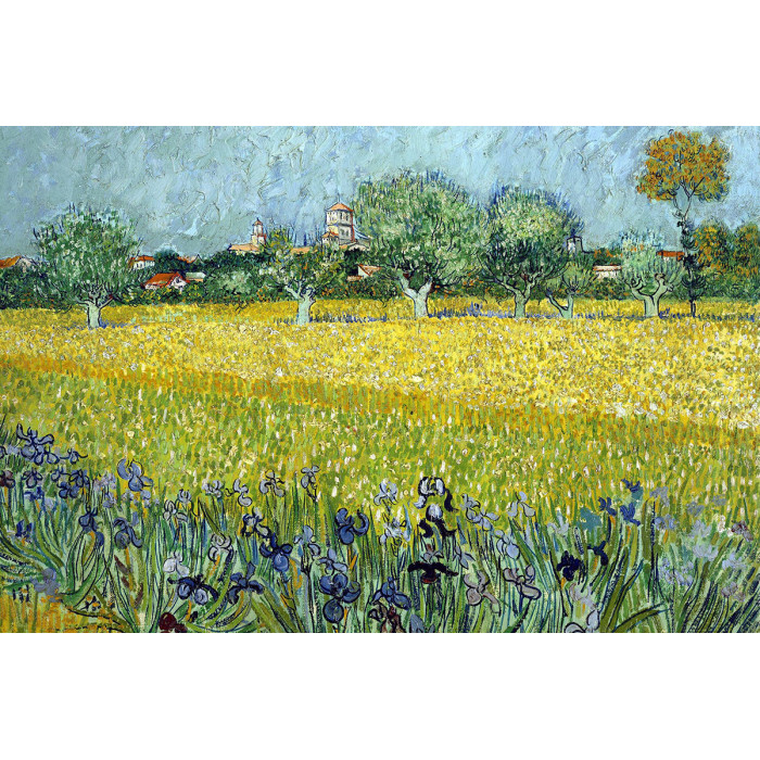 Vincent van Gogh (5010.1005)