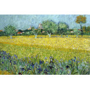 Vincent van Gogh (5010.1005)