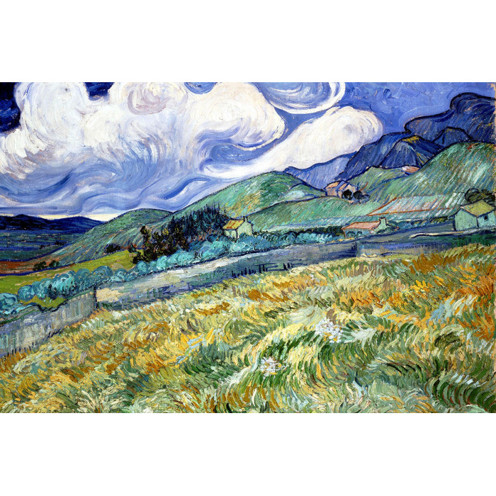 Vincent van Gogh (5010.1006)