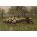Herderin met kudde schapen -  Anton Mauve  ca. 1870 - ca. 1888 (5010.2016)