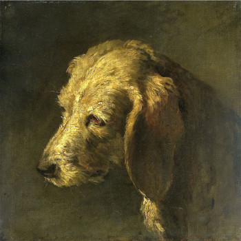 Hondenkop -  Nicolas Toussaint Charlet  ca. 1820 - ca. 1845 (5010.2018)