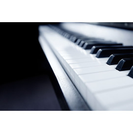 Piano (5030.1009)