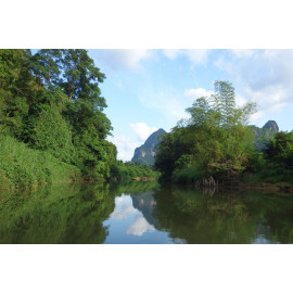 jungle met rivier (5050.1027)