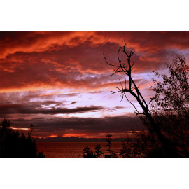 zonsondergang rode lucht (5050.1037)