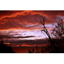 zonsondergang rode lucht (5050.1037)