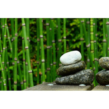 Stenen en bamboo (5085.1003)
