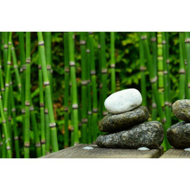 Stenen en bamboo (5085.1003)
