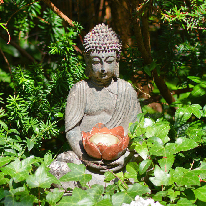 Buddha Lotus (5085.1010)