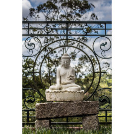 Buddha voor hek (5085.1012)