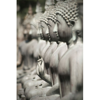 Buddha beelden (5085.1016)