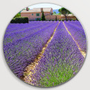 Lavendel (5020.1020)