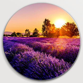 Lavendel veld by sunset (5020.1021)