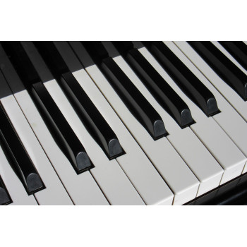 Piano (5030.1025)