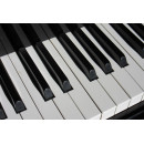 Piano (5030.1025)