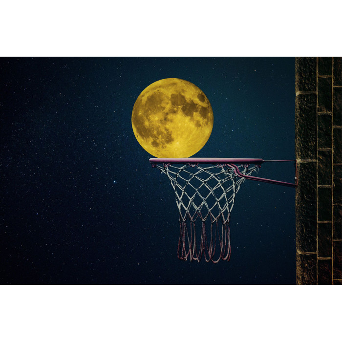 Basket met Maan (5030.1029)