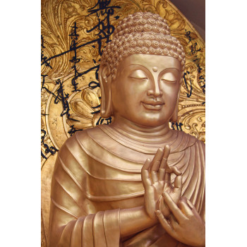 Gouden Buddha - Boedha (5085.1025)