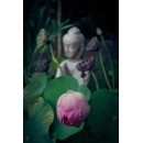 Buddha Lotusbloem - Boedha (5085.1041)