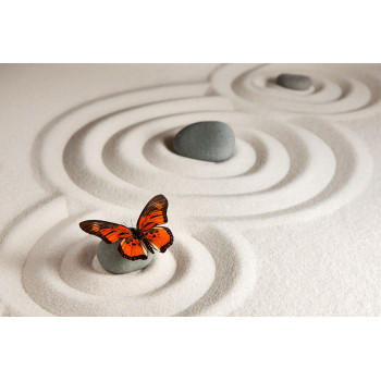 Butterfly Zen (5085.1045)