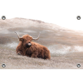 Tuinposter © Karel Ton - Hooglander - Longhorn (6215.2546)