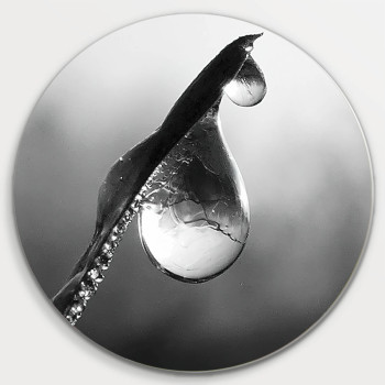Muurcirkel © Maria-Luisa van Herk - Waterdruppel aan takje (6223.1004)