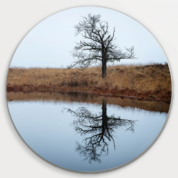 Muurcirkel © Ruud Engel Photography - Lonely Tree Kampina (6225.1036)