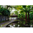 Tuinverruimer  - Prieel in tropische tuin (5054.1030)