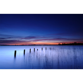 Wanddecoratie © Jef Folkert -  Een rij palen in een kalm meer tijdens het blauwe uur  (6221.1059)