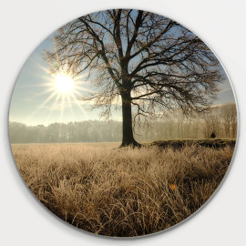 Muurcirkel © Jef Folkert - Stervormige zon doet de rijp op het gras en de bomen smelten (6221.1054)