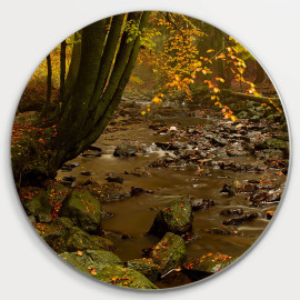 Muurcirkel © René Groenendijk - Ardennen in de herfst (6226.1042)