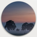 Muurcirkel © René Groenendijk - Bomen in de Mist (6226.1048)