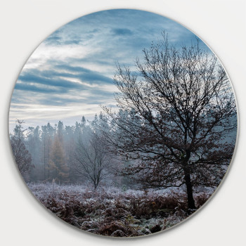 Muurcirkel © René Groenendijk - Open veld Veluwe in de Winter (6226.1077)