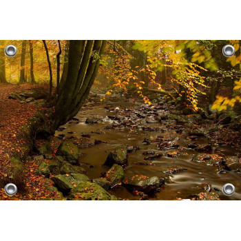 Tuinposter © René Groenendijk - Ardennen in de herfst (6226.1042)