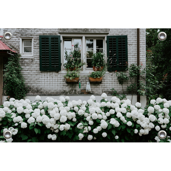 Tuinverruimer-Schuttingposter  - Wit Huis met Witte Hortensia  (5054.1078)