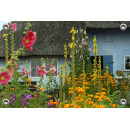 Tuinposter-Schuttingposter Boerderij met bloemen (5020.3001)
