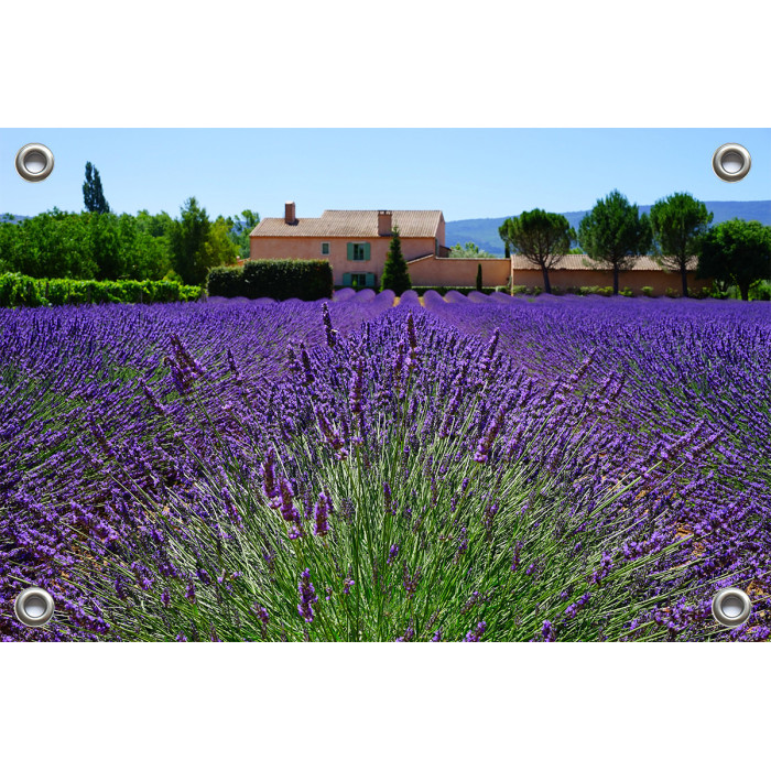 Tuinposter-Schuttingposter Lavendelveld Provence (5020.3034)