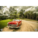 Tuinposter Auto Oldtimer Cuba (5035.3042)