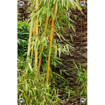 Tuinposter bamboe en schutting (5050.3002)