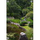 Tuinposter garden japans met vijver (5050.3013)