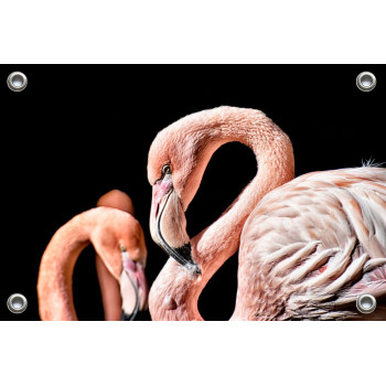 Tuinposter Flamingo (5070.3011)