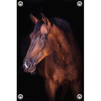 Tuinposter Bruin paard (5070.3024)