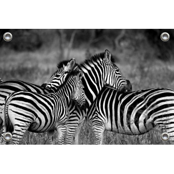 Tuinposter Zebra's (5070.3037)