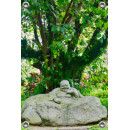 Tuinposter Buddha rots onder boom (5085.3014)