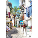 Tuinposter Ibiza Town Spanje (5090.3019)