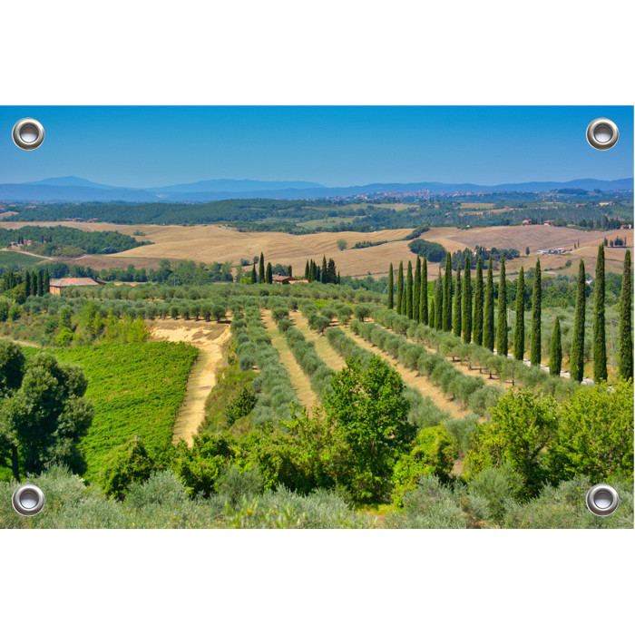 Tuinposter Toscana Italië (5090.3024)