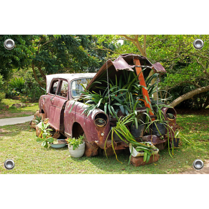 Tuinposter Vintage Auto in Tuin (5096.3001)
