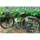 Tuinposter Oude Fiets in Tuin (5096.3008)