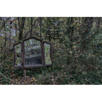 Wanddecoratie © Karin Beijers - Urbex - Mirror in the woods (6227.1032)