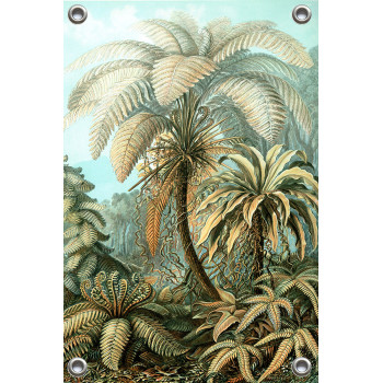 Tuinposter Ernst Haeckel - Filicinae - Jungle (5010.4004)